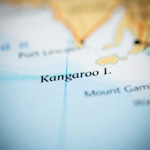 Kangaroo Island propolis
