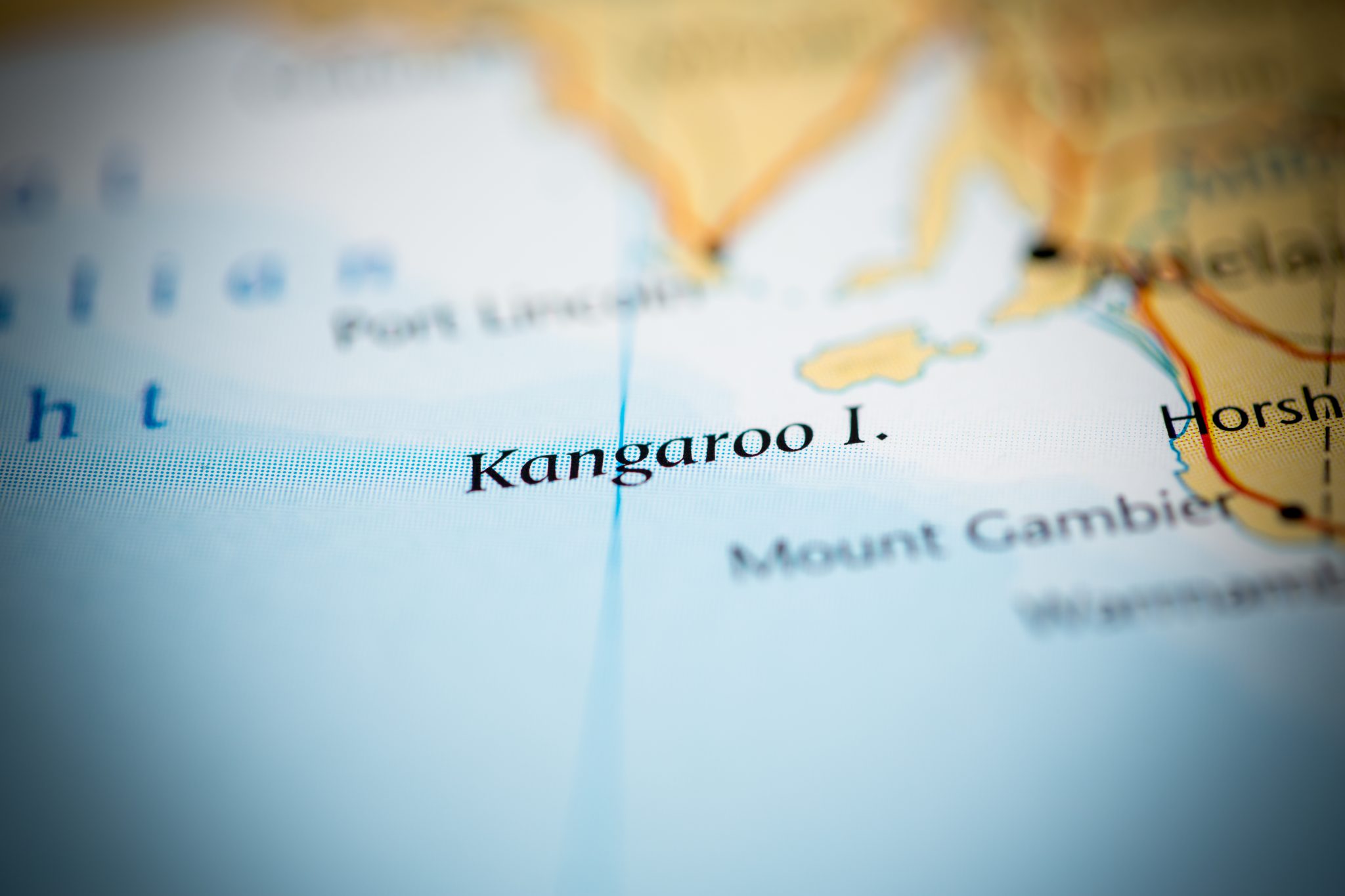 Kangaroo Island propolis